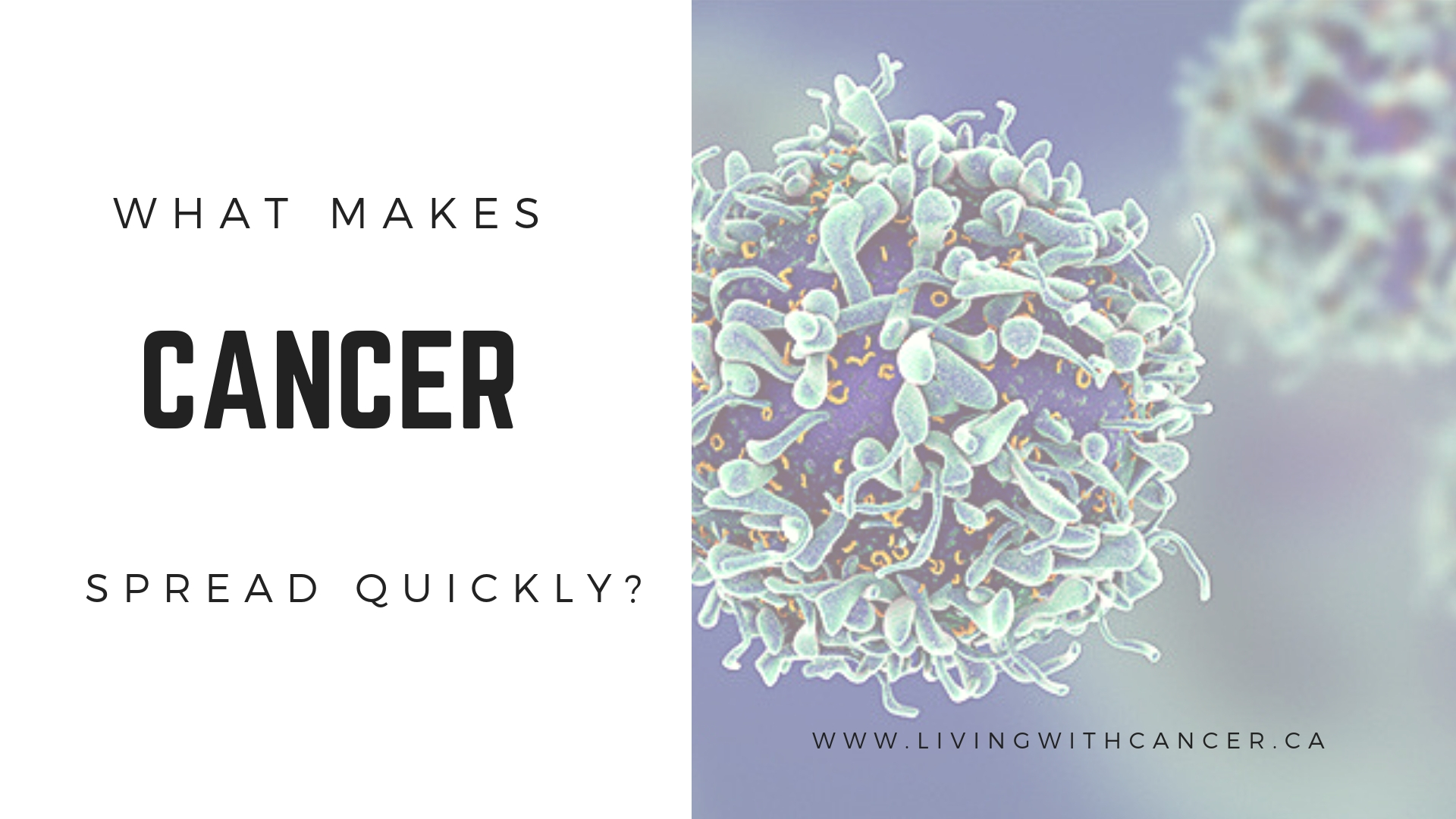What Makes Cancer Spread Quickly Living With Cancer